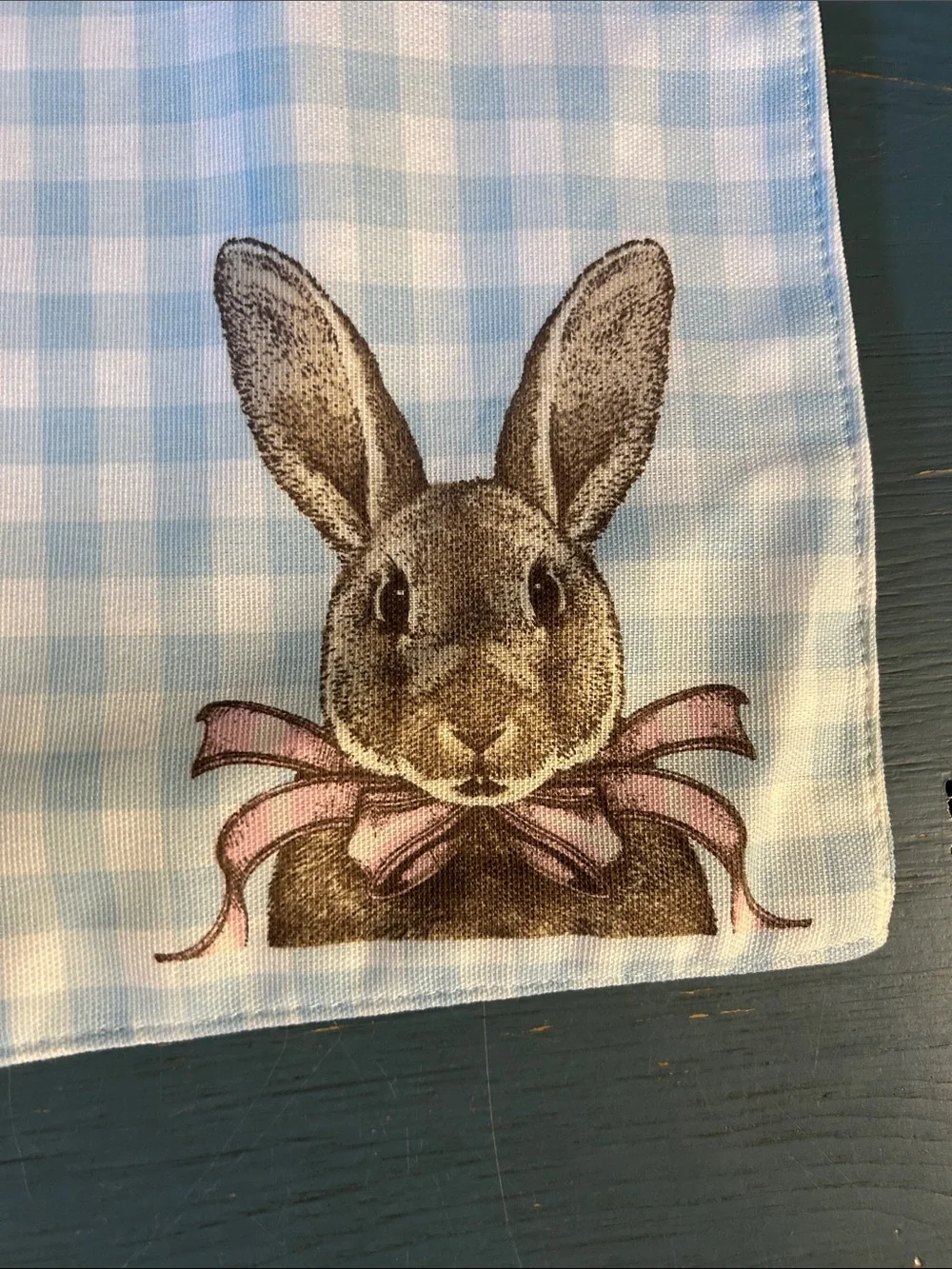 Bunny Tales Blue & White Gingham Bunny Print Table Placemats - Set of 2 | EUC